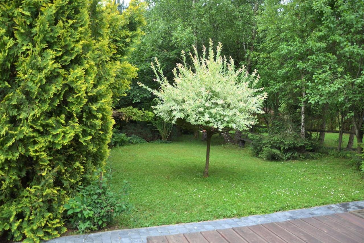 Domki Letniskowe Pod Lasem Koziniec Exteriér fotografie