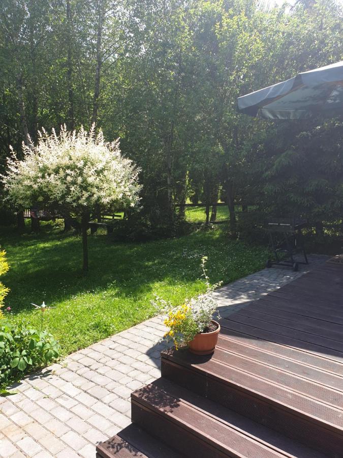 Domki Letniskowe Pod Lasem Koziniec Exteriér fotografie