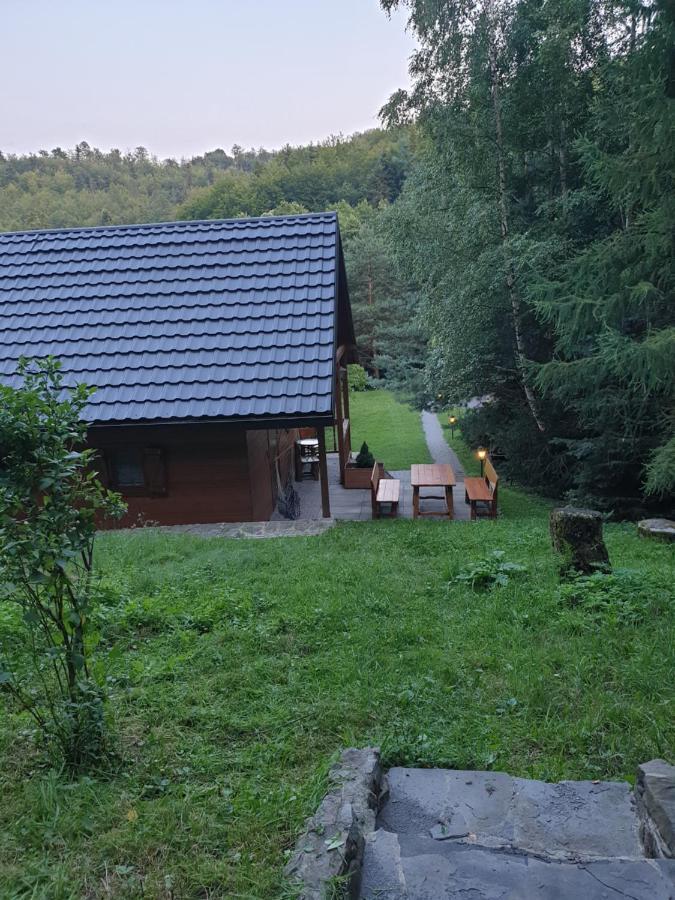 Domki Letniskowe Pod Lasem Koziniec Exteriér fotografie